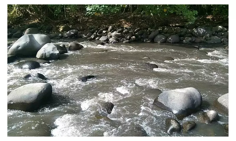 Davao's Tamugan River Under Threat: Investigation Demanded Over Alarming Pollution