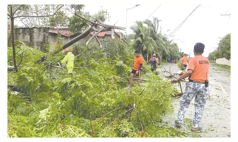 Cebu's Power Crisis: Lawmakers Demand Sustainable Energy Solutions Amid Rotating Blackouts