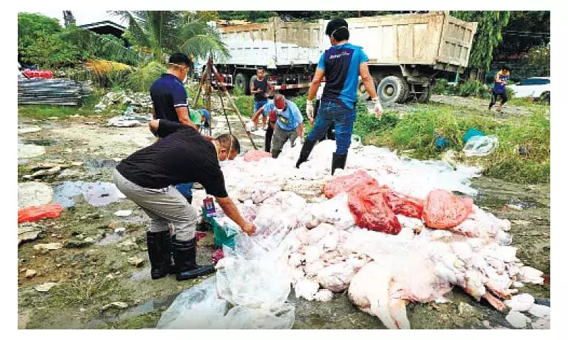 Lapu-Lapu City Seizes Massive 3-Ton Meat Haul in Major Food Safety Operation