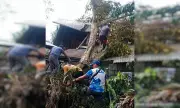 Bacolod Deploys 8 Task Forces to Clear Typhoon Tino Debris