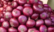 DA Sets Price Cap on Imported Red Onions to Curb Profiteering