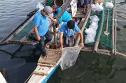 Iloilo River Fishing Ban: 4-Month Closure to Restore Fish Stocks