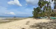 Mactang Beach Camotes: Free Historic Shore With Magellan Link