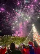 Mandaue City Lights Up 2025 Christmas Tree with Message of Resilience