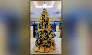 Seda Cebu Lights Christmas Tree, Uniting Community in Festive Joy