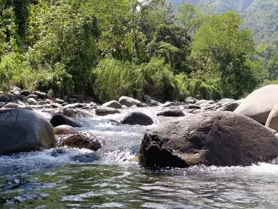 Davao Councilor Urges Public to Avoid Protected Watersheds This Holiday Season