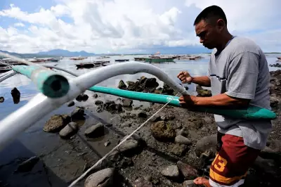 Filipino Fishermen Struggle as Illegal Fishing Surges, Catch Declines