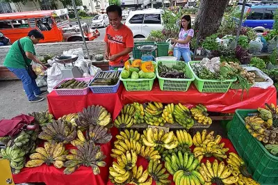 Philippine Banana Exports Lose Ground to Vietnam in Key Markets
