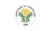 DA: Viral Fertilizer Issue in Ilocos Norte Due to Wrong Use, Not Quality
