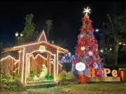 Mactan Newtown Lights 'Tree of Hope' to Kick Off Bright Christmas 2025