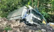 Wing Van Plunges into Ravine in Oslob, Driver Survives Thanks to Tree