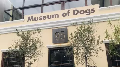 Cape Town's Dog Museum Inspires Philippine Niche Museum Potential