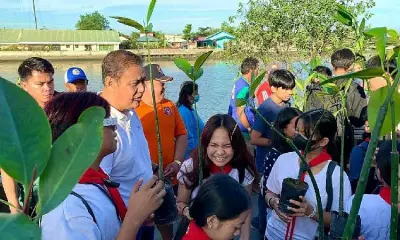 Masantol Plants 500 Mangroves, Releases 10,000 Tilapia for River Rehab