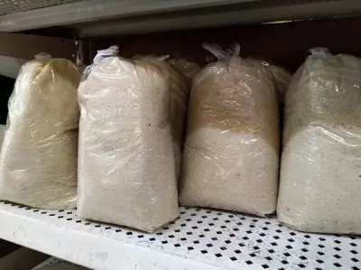 Sugar Workers Demand Clarity on 100,000-MT US Export Plan