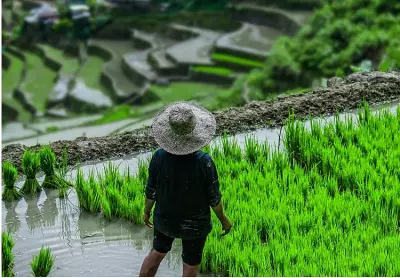 SWS Survey: Filipino Hope for New Year Hits 16-Year Low in 2026