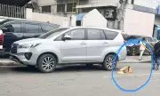 Cebu City Councilors' Vehicles Clamped in Sinulog 2026 Parking Crackdown