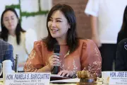 Governor Pamela Baricuatro Appointed Chair of Visayas Development Committee