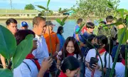 Masantol Plants 500 Mangroves, Releases 10,000 Tilapia for River Rehab