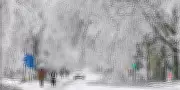 US Monster Winter Storm Death Toll Surpasses 30, Over 200M Under Severe Cold Alerts