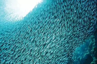 Cebu Launches Tourism Incentive Program to Boost Overnight Stays in Rural Towns