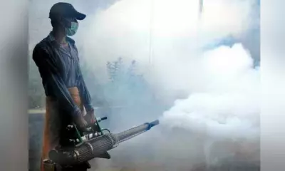 DOH Reports 71% Drop in Dengue Cases Nationwide in Early 2026