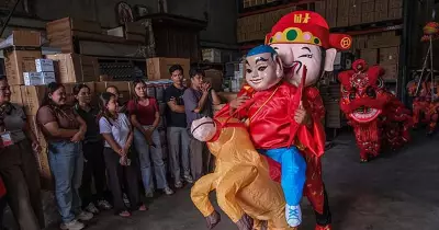 Lion and Dragon Dances Herald Chinese New Year in Cebu with Fire Horse Rituals