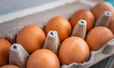 Philippines Restaurant Industry Embraces Cage-Free Eggs as New Standard