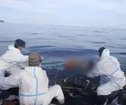 Death Toll Rises to 52 in Basilan Ferry Disaster as Government Pursues Accountability