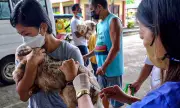 FDA Issues Public Alert on Counterfeit Anti-Rabies Vaccine in Davao Market