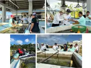 Japan and FAO Launch Sustainable Fishery Project in Bangsamoro Region