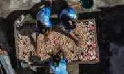 Olanggo Island Women Transform Seashells into Sustainable Livelihood
