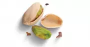 Pistachio Power: 7 Surprising Facts About the Viral Green Superfood