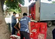 Police Seize LPG Truck Without Permits on Camotes Island, Cebu