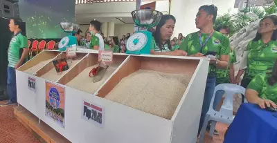 Cebu Launches P20/Kilo Rice Program for Vulnerable Sectors Starting April 15