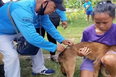 Davao City Intensifies School-Based Rabies Awareness Campaigns for Children