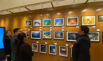 Hilton Chef's Underwater Photo Exhibit Merges Culinary Art with Marine Conservation