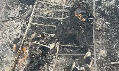 Loyal Dog Dies with Paralyzed Owner in Tragic Talisay House Fire