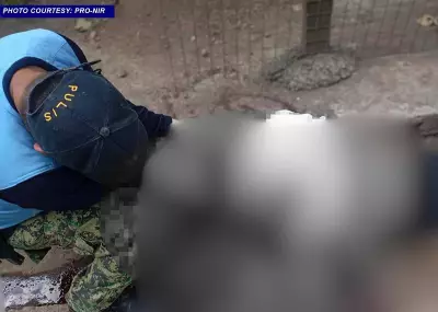 PNP Launches Full Probe into Negros Occidental Broadcaster Killing, Vows Media Protection