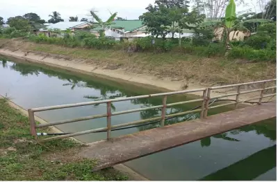 Two Grade 3 Students Drown in Bohol Canal After Missing School Announcement