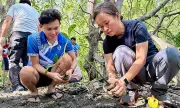 Aboitiz Renewables Joins Mangrove Reforestation Drive in Davao del Sur