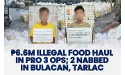 Central Luzon Police Seize ₱6.6M in Illegal and Expired Food Products