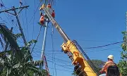 Davao Light Begins Vegetation Clearing in Samal, Warns of Temporary Power Interruptions
