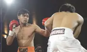 Eman Pacquiao Scores TKO Win, Reggie Suganob Calls Out Champion in Bohol Boxing Event