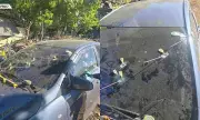 Lapu-Lapu Police Officer Arrested After Shooting Colleague in Cemetery