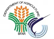 Philippine Air Force Joins BFAR in Aerial Crackdown on Illegal Fishing in Central Visayas