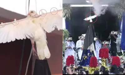 Cardinal David Vows to End Controversial Pigeon Use in Malabon Easter Rite