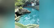 Beat the Heat: Discover Argao's Liki Spring as a Refreshing Summer Escape