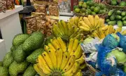 Davao Celebrates Native Fruits and Agricultural Workers During Buwan ng Kalutong Pilipino
