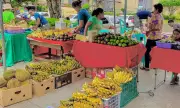 Davao City Councilor Refines Health Food Ordinances to Boost Nutritional Transparency