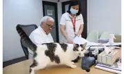 Lazatin Backs PAWS Call for Free Pet Spaying via Tax Rebates